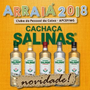 Salinas 2 - Arraiá 2018 APCEFMG